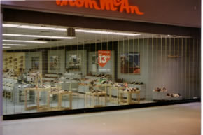 Mall-Dawn Security Door